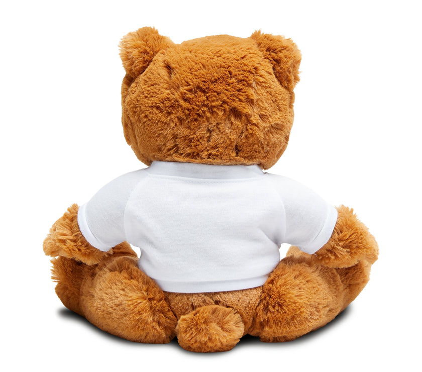 "Autism Awareness" Teddy Bear with T-Shirt