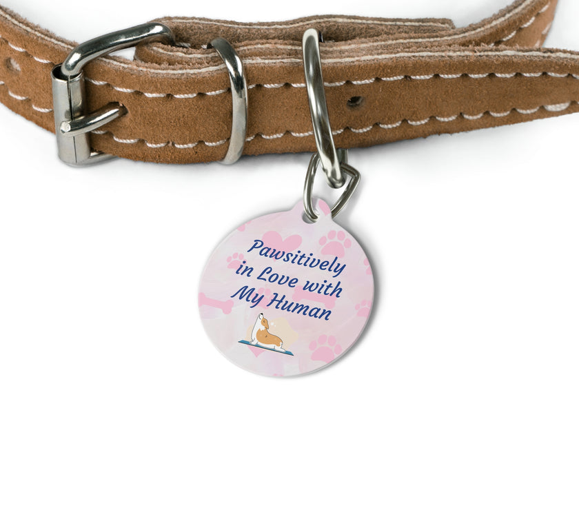 "Pawsitively in Love with my Human" Pet Tag