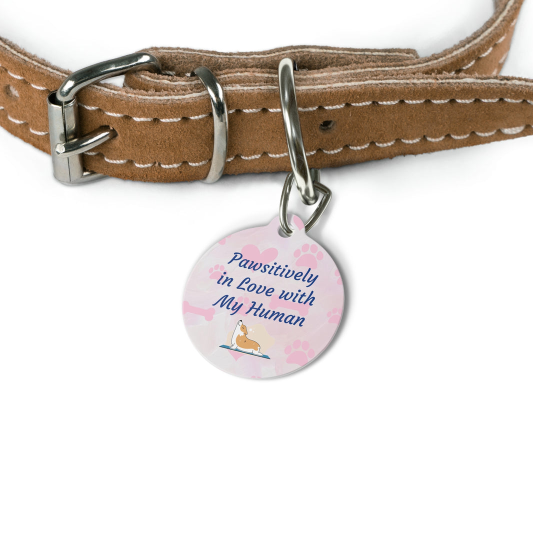 "Pawsitively in Love with my Human" Pet Tag